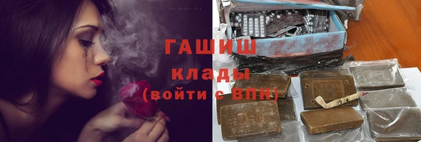 гидра Володарск