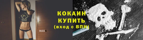гидра Володарск