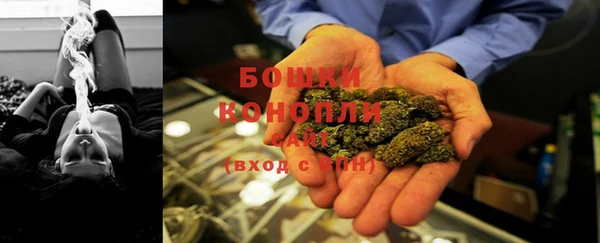 шишки Волосово