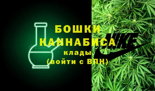 гидра Володарск