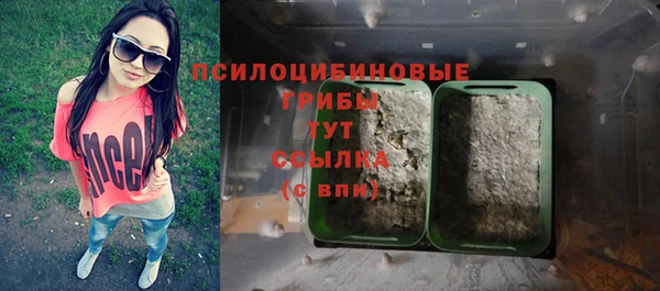 тгк Ладушкин