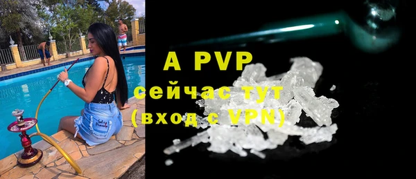 гидра Володарск