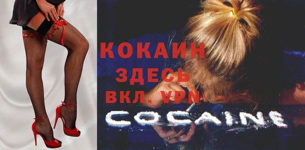шишки Волосово